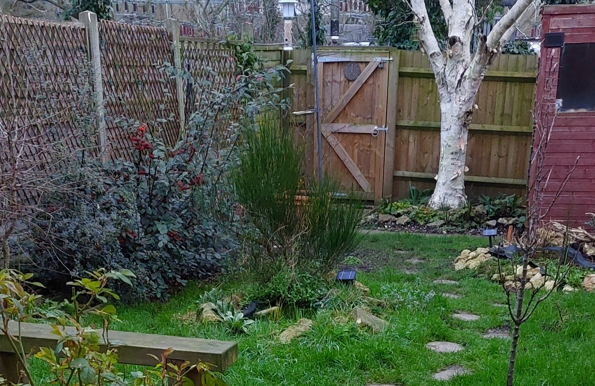 Going wild is not about leaving the garden to its own devices, but creating and managing a landscape.