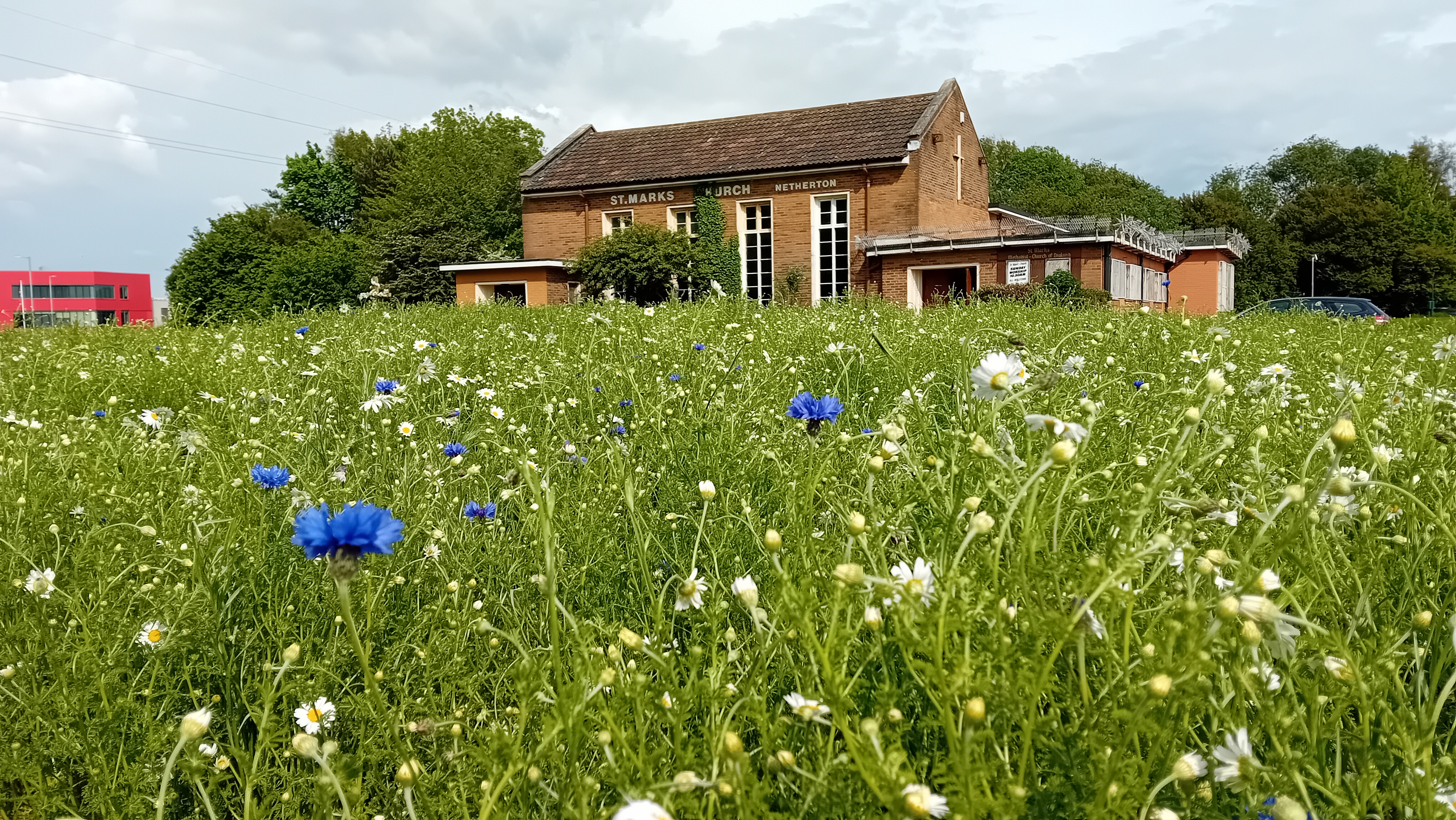 St Mark's Church with wildflower meadow in the foreground