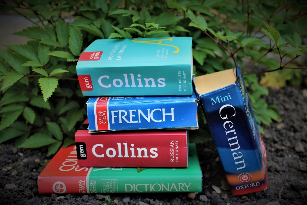 A stack of small dictionaries in other languages